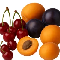 Arome și esențe de fructe